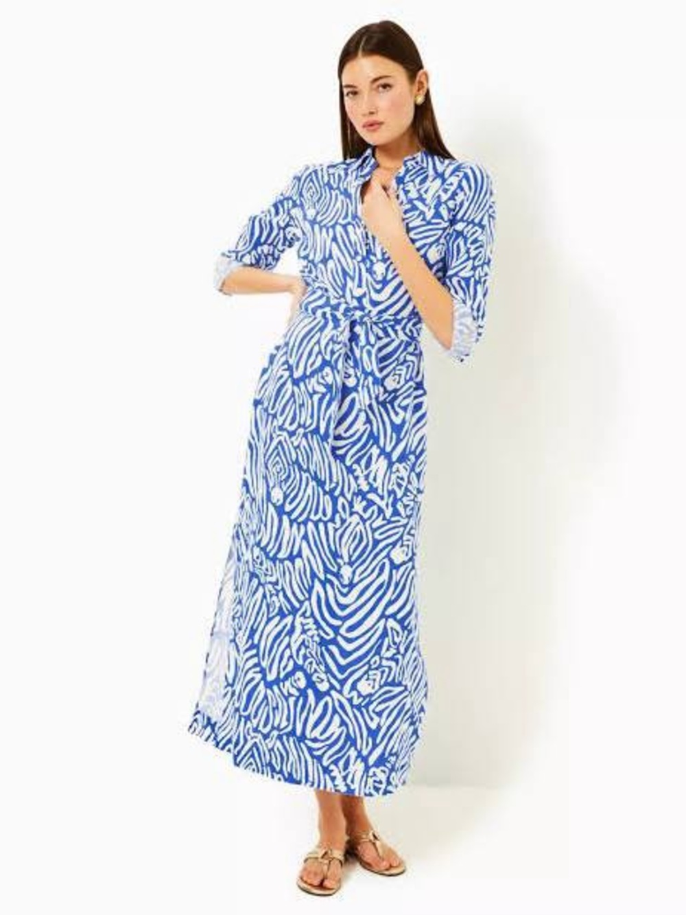Lilly Pulitzer Blue & White Printed Maxi Dress